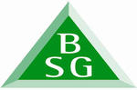 Building Safety Group (BSG)
